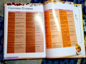 Encyclopedia Of Human Body (Rare To Find)