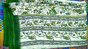 beautiful woman saree ✨✨💚🤍