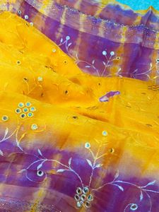 Yellow & Purple Embellished Scarf