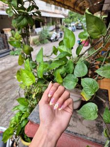 Press On Nails