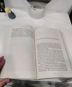 Something I Never Told You - Shravya Bhinder