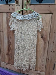 Elegant Lace Peter Pan Collar Dress