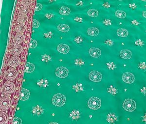 Saree blouse Flourescent green kasab kardana Ful