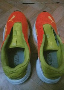 Puma Sport Shoes