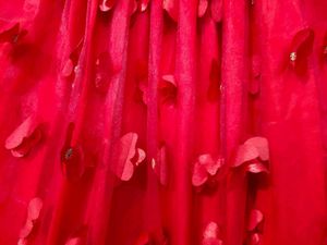 Red Tulle Party Skirt