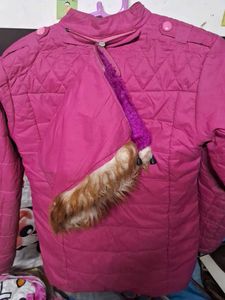Jacket With Cap