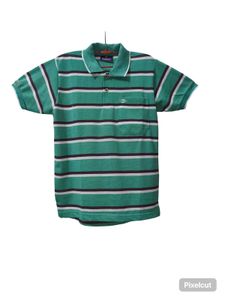 Striped Polo Shirt