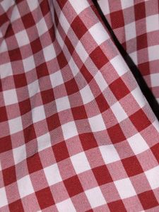 Red Gingham Sundress