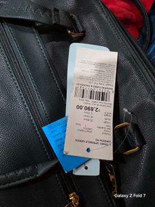 Stylish Handbag by tapsee pannu baggit brand new