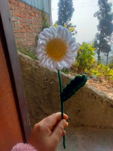 Corchet Flower