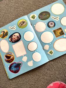 Kids Animal Book Set