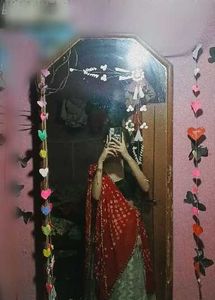 Red &amp; Silver Sari