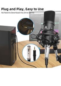 Professional Studio Microphone