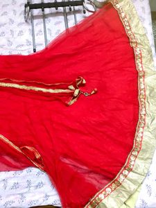 Embroidered lehenga and choli
