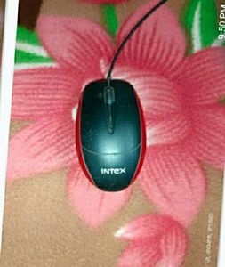 Mouse