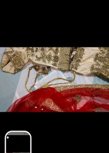 Elegant Lehenga Choli Set