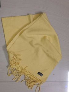 Soft Wool Muffler For Boys @ Men Only 99