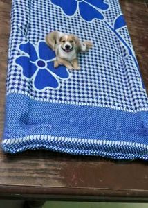 Vintage Gingham Quilt