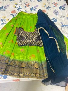 Elegant Green Lehenga &amp; Blouse Set