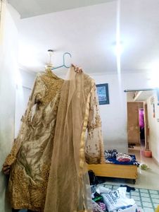 Elegant Gold Stone Garara Suit