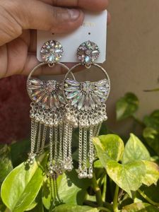 Stunning Silver Tone Dangle Earrings