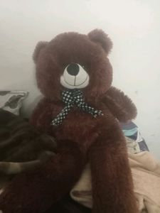 Brown Teddy Bear