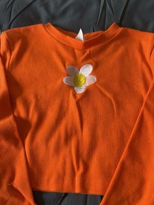 Urbanic Full Sleeve Crop Top