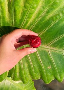 Benift Cosmetics Love Tint