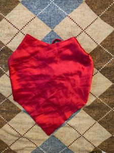 Red Halter Top