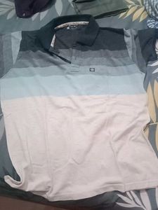 Striped Polo T-Shirt