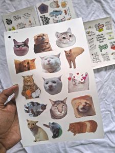 Pack Of -68 Waterproof Stickers