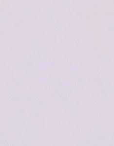 Crop Top With Hot Look