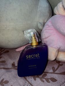 Secret Temptation Romance