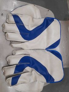 Cricket Wicket Keeping Glove