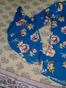 Blue Bell Sleeves Top