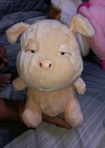 Toy