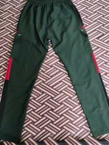 Striped Cargo Pants
