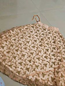 Embroidered Ethnic Skirt