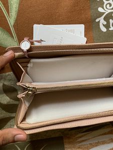 🇨🇦 Ted Baker Brand New Clutch