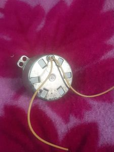 Gear Motor
