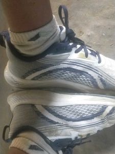 Stylish Sneakers