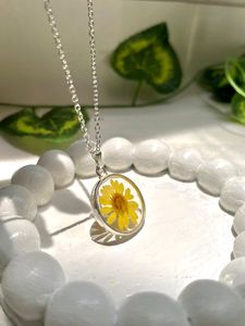 Elegant Daisy