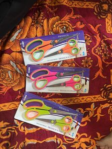 One Pair Of 2 Pcs Big N Small Stainless Steel Scis
