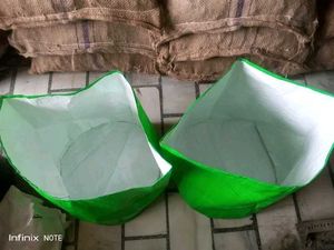 Green Plant Container