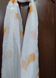 My Stunning Organza Dupattas At Your Service