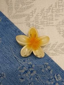 Cute Flower Hair Clips (any one @99)