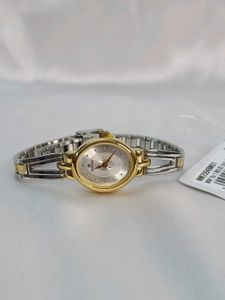 Titan Quartz Analog Silver Dial Two Toned Stainles