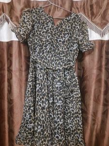 Leopard Print Mini Dress