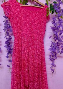 All Over Net Embroiderd Dress