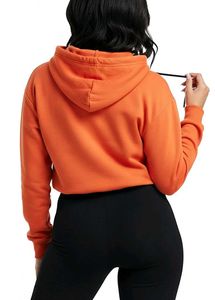 Colorblock Sparkle Hoodie